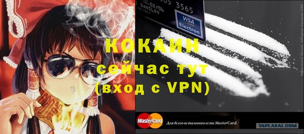 винт Алзамай