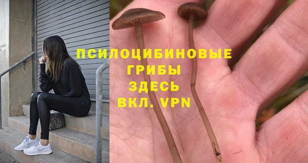 винт Алзамай