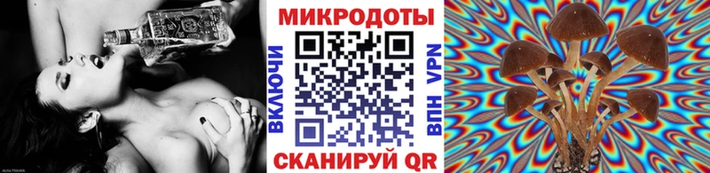 Псилоцибиновые грибы Psilocybine cubensis  Чусовой 
